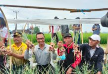 Kapolsek Abiansemal Menghadiri Kegiatan Panen Bawang Merah di Bongkasa