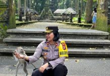 Wakapolres Badung Pantau Situasi di Obyek Wisata Sangeh