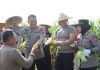 Manfaatkan Lahan Tidur, Polres Blitar Panen Jagung