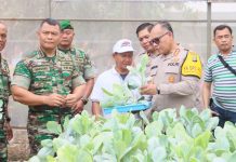 Urban Farming Green House Rusunawa Marunda