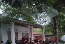 Polsek Klaten Diduga Tak Berani Menindak Sabung Ayam Di Plosorejo, Kapolres Kediri Diminta Atensi Tegas