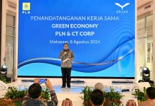 Wujudkan Transisi Energi, PLN dan CT Corp Jalin Kerja Sama Kembangkan Energi Hijau
