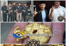 Masih Menyoal Warga Tiongkok Curi Emas 774 Kg, Disesalkan Prof Sutan Ketua Harian LSM MAUNG
