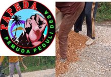 PAPEDA Akan Laporkan Pelaksana Kegiatan Lapen di Desa Ambat Yang Tidak Sesuai RAB