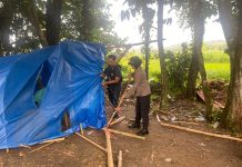 Polres Pamekasan Amankan 18 Orang di TKP Judi Sabung Ayam, 14 Orang Ditetapkan Tersangka