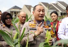Kapolresta Malang Kota: Dukung Program Ketahanan Pangan Nasional, Panen Raya Tahap Pertama Capai 1,8 Ton Jagung
