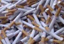 PAPEDA Soroti Polres Sampang, Lamban Tangani Kasus Rokok Tanpa Cukai Dalam Mobil Box Expedisi JNT Cargo