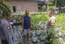 Polsek Ngetos Dukung Ketahanan Pangan, Pantau Pekarangan Sayur Warga