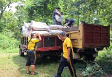Pendampingan Panen Jagung di Wilangan, Wujud Nyata Dukung Ketahanan Pangan
