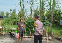 Budidaya Cabai dan Labu Air, Polres Nganjuk Dukung Ketahanan Pangan Lewat Pemanfaatan Pekarangan Warga