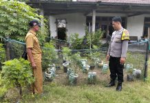 Wujudkan Ketahanan Pangan, Polsek Prambon Dukung Pemanfaatan Lahan Perkarangan