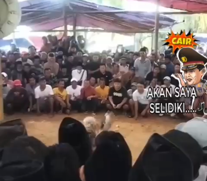 Viral Judi Sabung Ayam di Bangkalan, Polres dan Polsek Bungkam