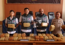Polres Jakpus Bongkar Gudang Ganja 53 Kg, Dua Residivis Ditangkap