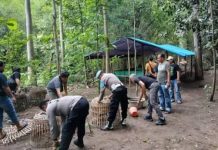 Polres Ponorogo Amankan 12 Tersangka Judol dan Sabung Ayam