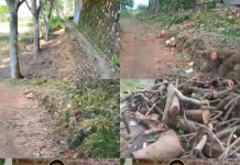 Sengketa Jalan Umum di Camplong Berujung Kekerasan, Korban Ancam Laporkan Polres Sampang ke Propam