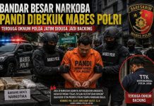 Mabes Polri Bekuk Bandar Besar Narkoba Pandi di Surabaya, Dugaan Keterlibatan Oknum Polisi Didalami
