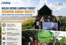 Bulog Kediri Lampaui Target Serapan Gabah, Bukti Sinergi Perkuat Ketahanan Pangan Nasional