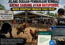 Jelang Dugaan Pembukaan Kembali Arena Sabung Ayam Batuporro, Warga Harapkan Tindakan Tegas Polisi Polres Sampang