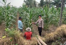 Bhabinkamtibmas Desa Labruk Kidul Aktif Jadi Polisi Penggerak Ketahanan Pangan Nasional