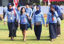 Nasib PPPK Paruh Waktu Setelah Oktober 2026, Ini yang Menentukan Perpanjangan