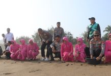 Ecology Policing : Polres Trenggalek Tanam Mangrove dan Lepas Liarkan Ratusan Tukik