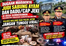 Dugaan Judi Sabung Ayam dan Dadu/Cap Jeki di Sumberawan Singosari Disorot, Polres Malang dan Polda Jatim Jangan Tunggu Viral!